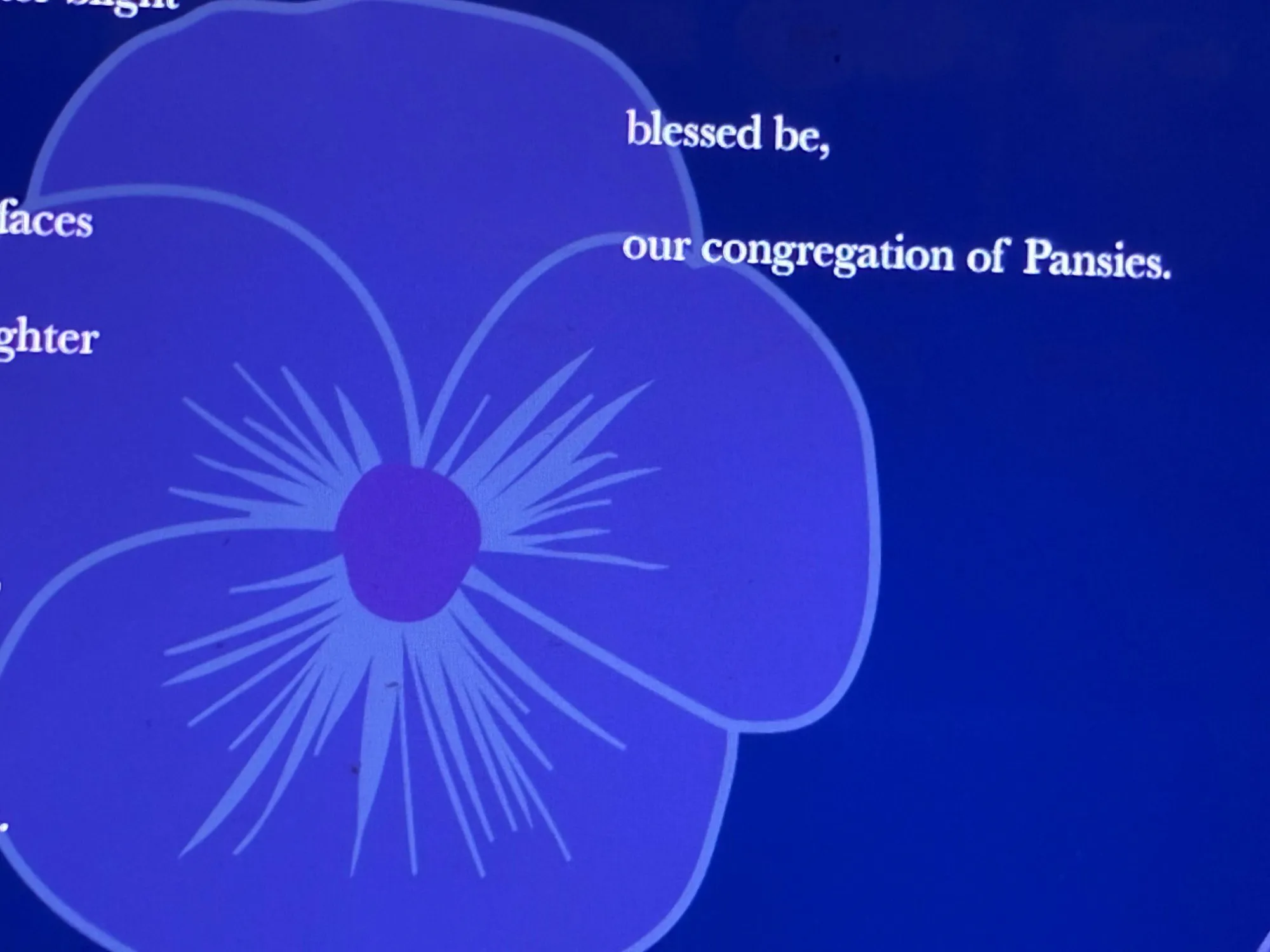 Large blue pansy illustration on a deep blue page with the poem line "our congregation of Pansies."